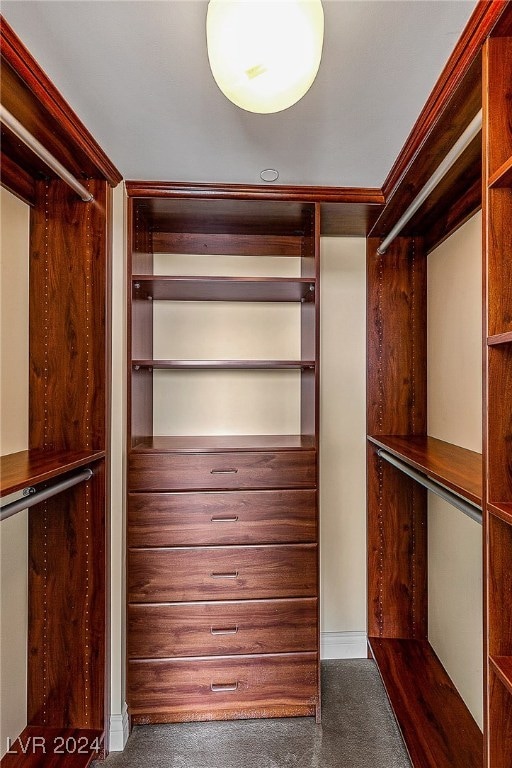 walk in closet with dark colored carpet