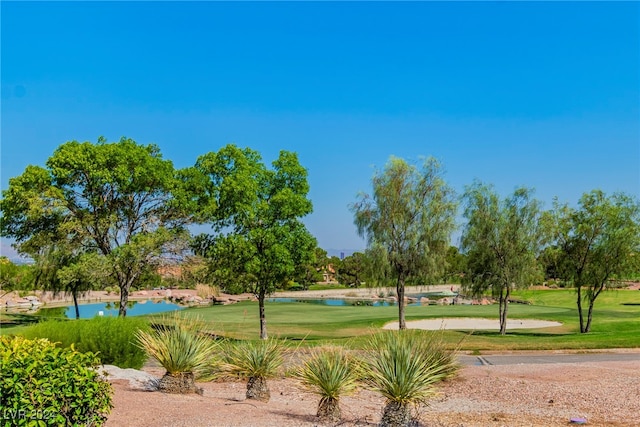 view of community featuring a yard and a water view