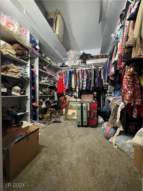 walk in closet featuring carpet flooring