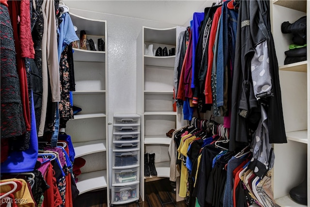 walk in closet with wood-type flooring