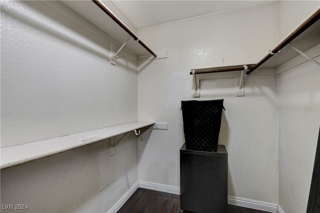 spacious closet with dark hardwood / wood-style floors