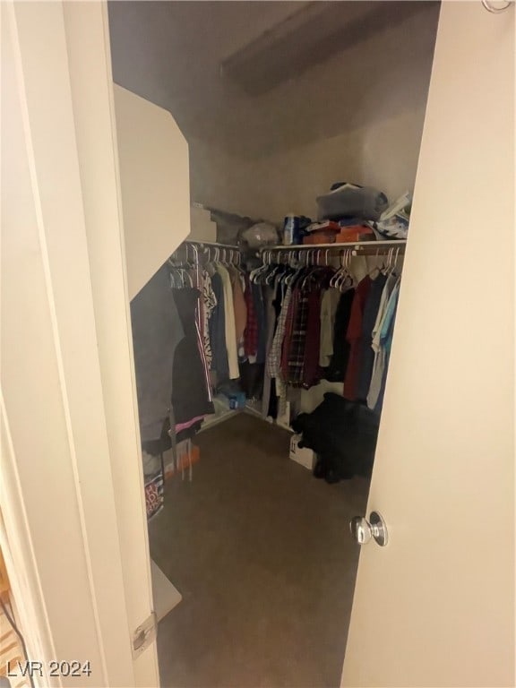 walk in closet featuring carpet floors