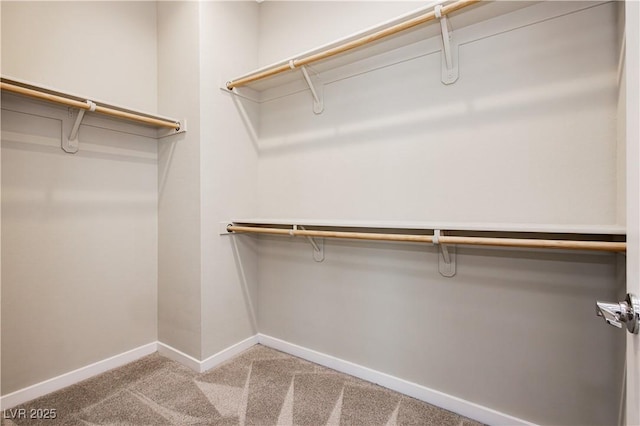 spacious closet featuring carpet