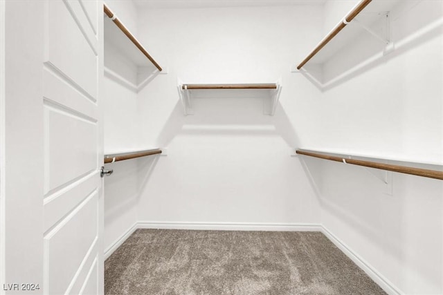 spacious closet with carpet flooring