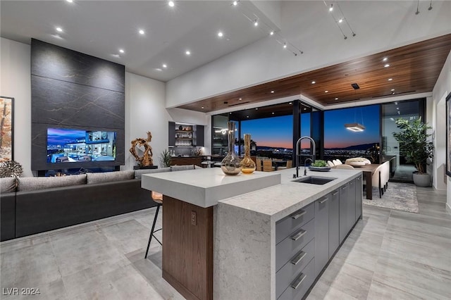 kitchen featuring sink, a kitchen breakfast bar, a towering ceiling, a spacious island, and gray cabinets