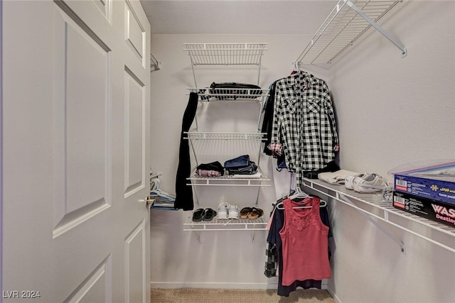 walk in closet with carpet