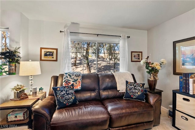 living room featuring a healthy amount of sunlight