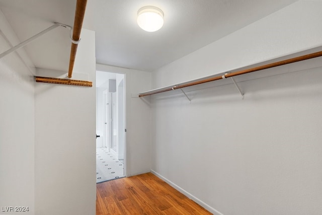 spacious closet with hardwood / wood-style floors