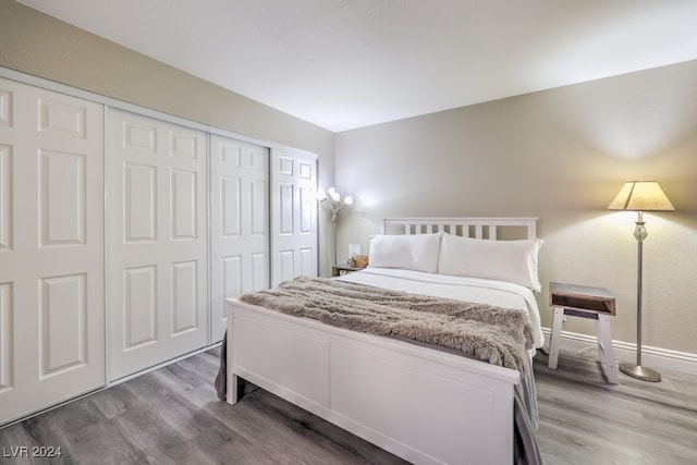 bedroom with wood-type flooring and a closet