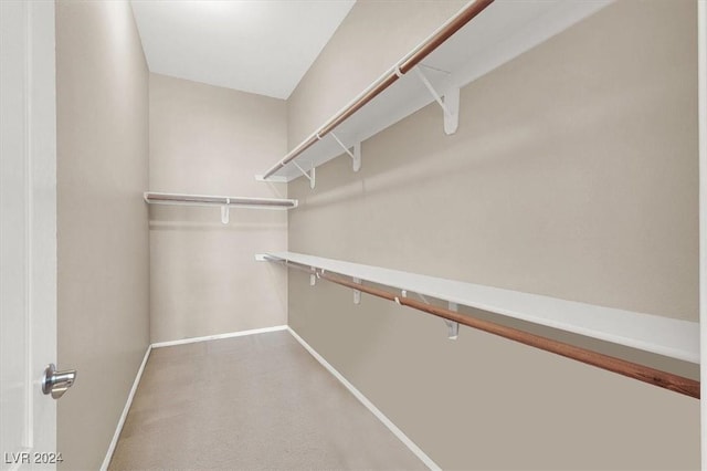 spacious closet with carpet