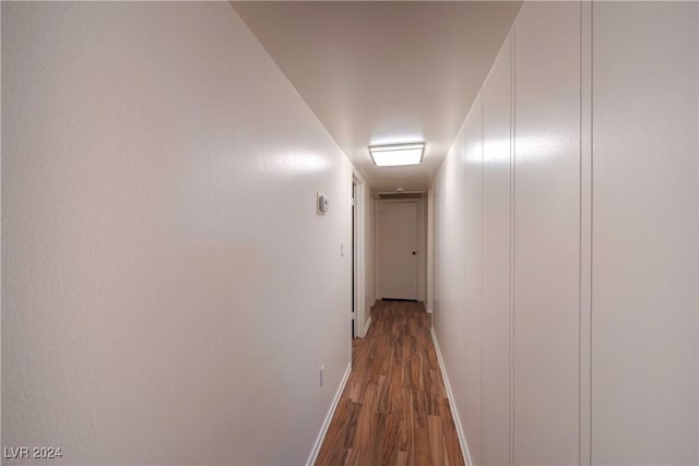 corridor featuring dark wood-type flooring