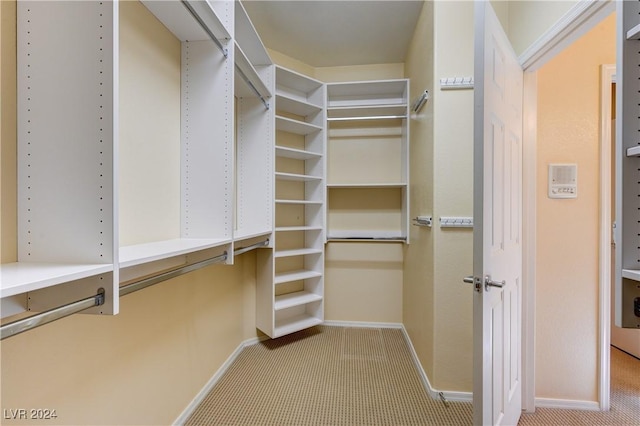 walk in closet featuring light colored carpet