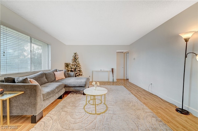 living room with hardwood / wood-style flooring