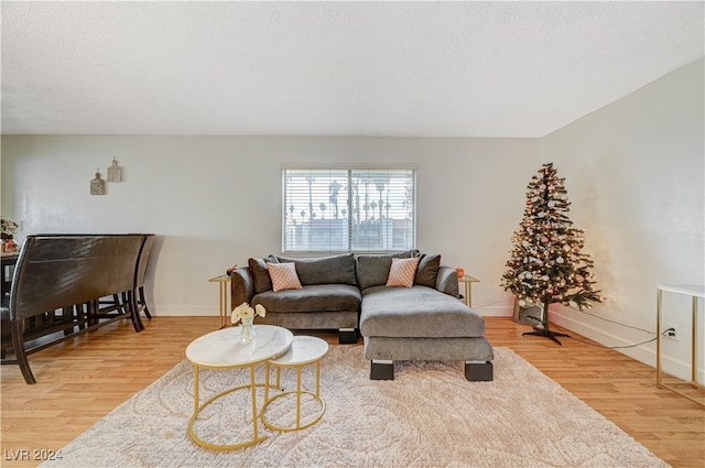 living area with a textured ceiling, baseboards, and wood finished floors