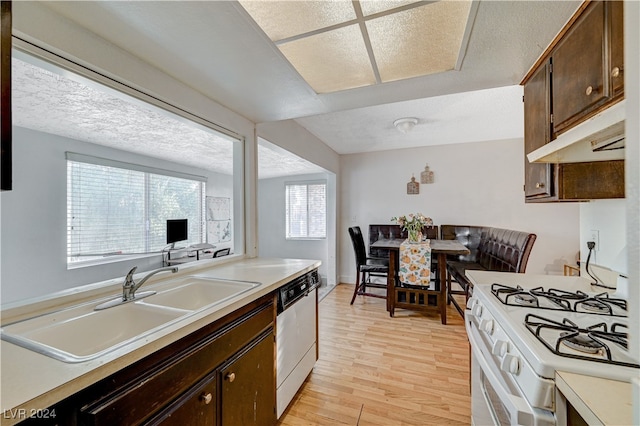 kitchen with dark brown cabinets, sink, dishwasher, light hardwood / wood-style floors, and white gas stove