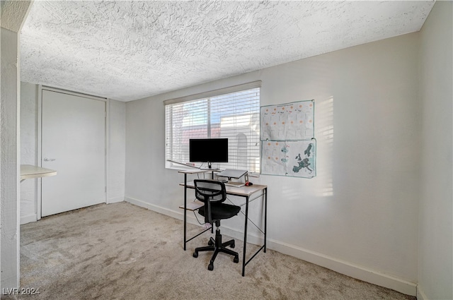 carpeted office space with a textured ceiling