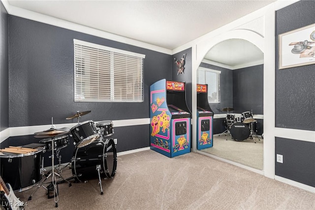 recreation room with carpet and crown molding