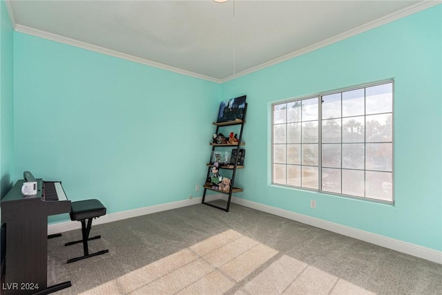 home office with carpet floors and ornamental molding