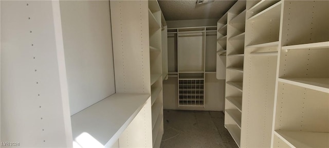 view of walk in closet