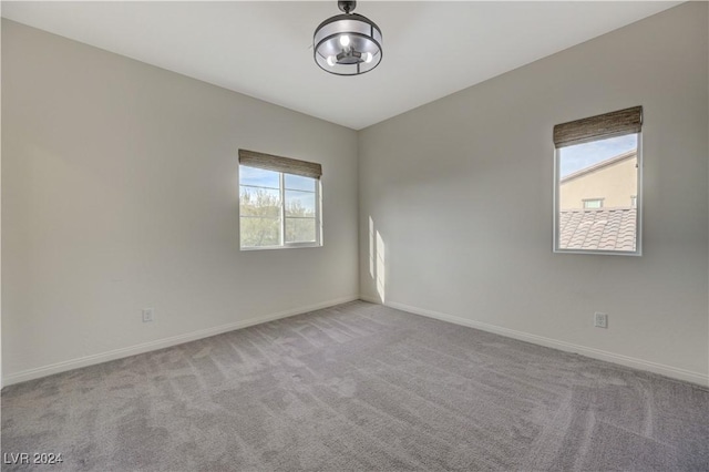 carpeted empty room with a wealth of natural light