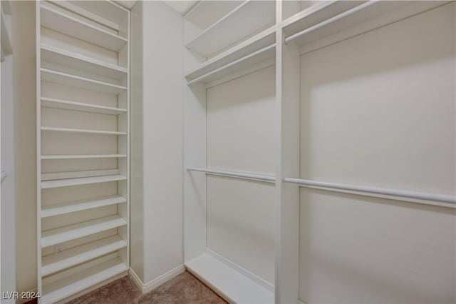 walk in closet with carpet floors