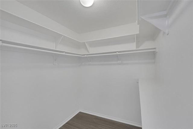 walk in closet featuring dark wood-type flooring