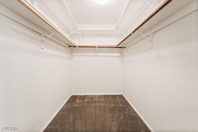 spacious closet with carpet floors