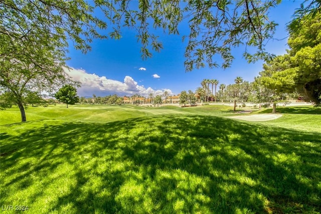 view of home's community with a yard