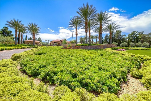 5035 Shoal Creek Cir, Las Vegas, NV 89113 - view of yard