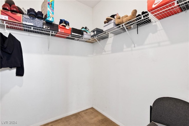 spacious closet featuring carpet floors