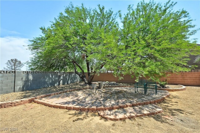 view of yard with a patio