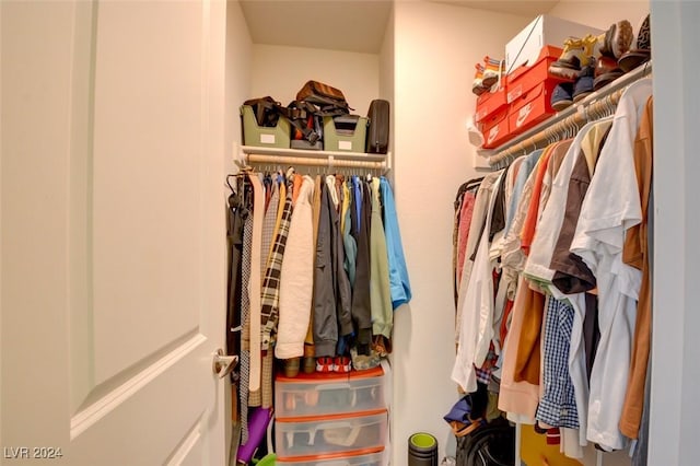 view of walk in closet