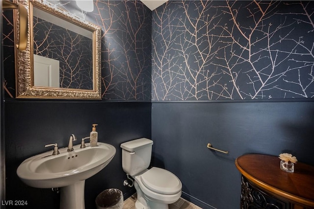 bathroom with sink and toilet