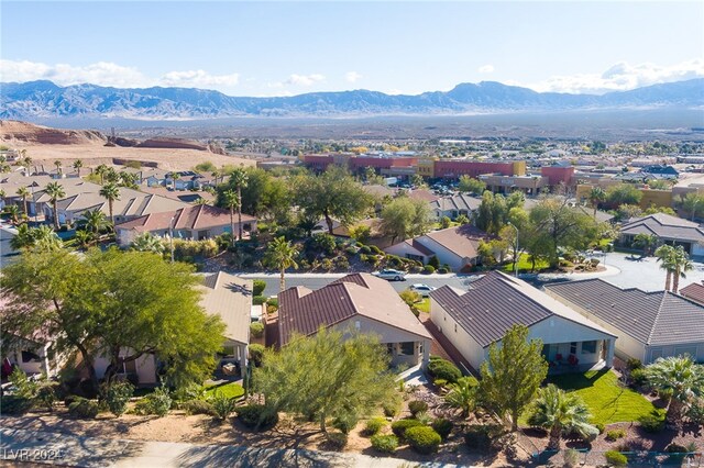 565 Fairways Dr, Mesquite, NV 89027 - photo 38