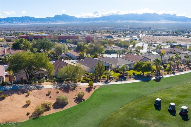 565 Fairways Dr, Mesquite, NV 89027 - photo 40