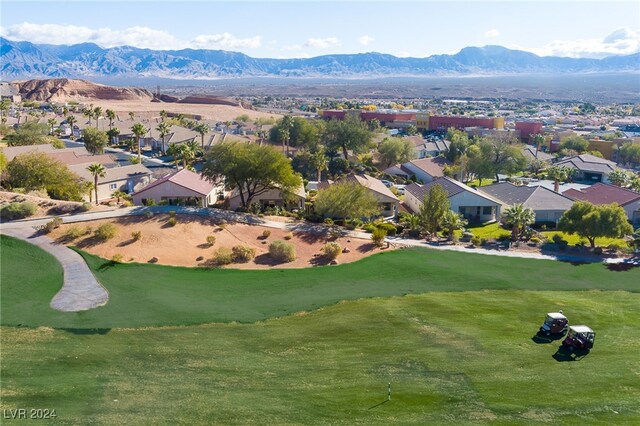 565 Fairways Dr, Mesquite, NV 89027 - photo 41
