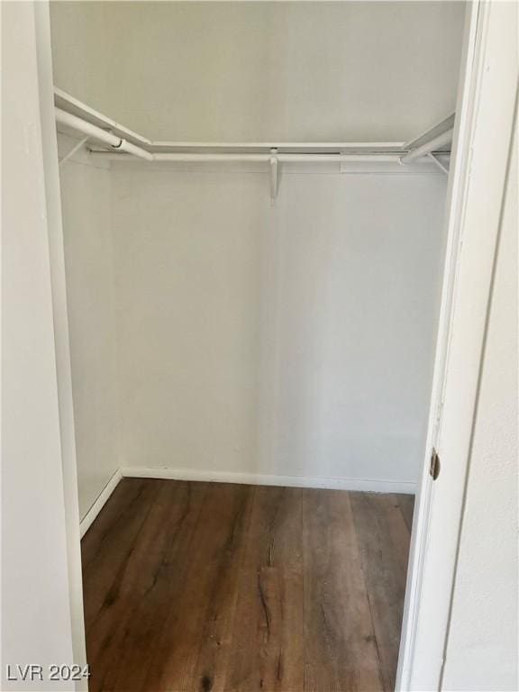 spacious closet with wood-type flooring