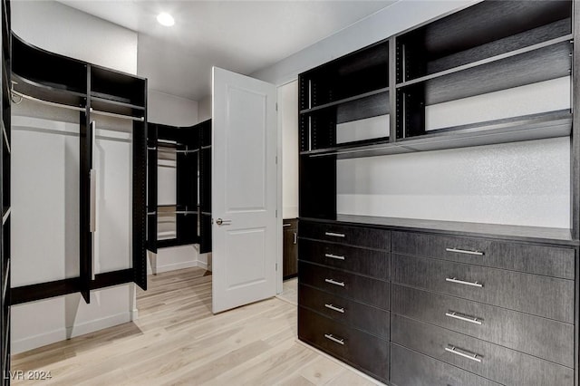 spacious closet featuring light wood-style flooring