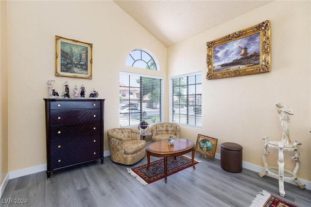 sitting room featuring wood-type flooring and lofted ceiling