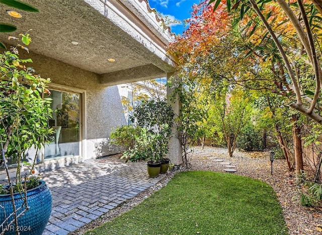 view of yard featuring a patio