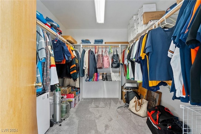 walk in closet with light colored carpet