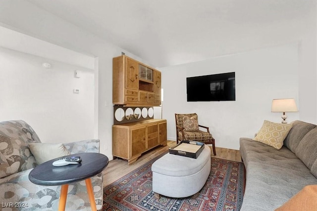 living room with hardwood / wood-style flooring