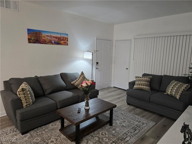 living room featuring wood-type flooring