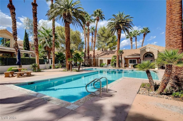 view of pool with a patio area