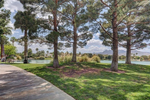 view of yard with a water and mountain view