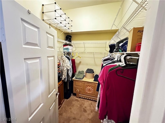 walk in closet featuring carpet flooring