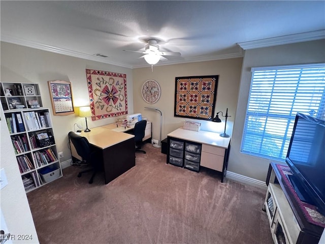 home office featuring crown molding, ceiling fan, and dark colored carpet