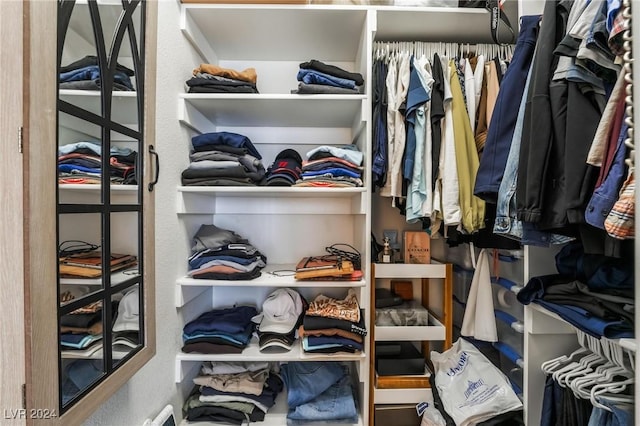 view of spacious closet