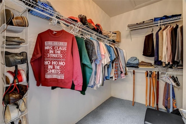 spacious closet featuring carpet flooring