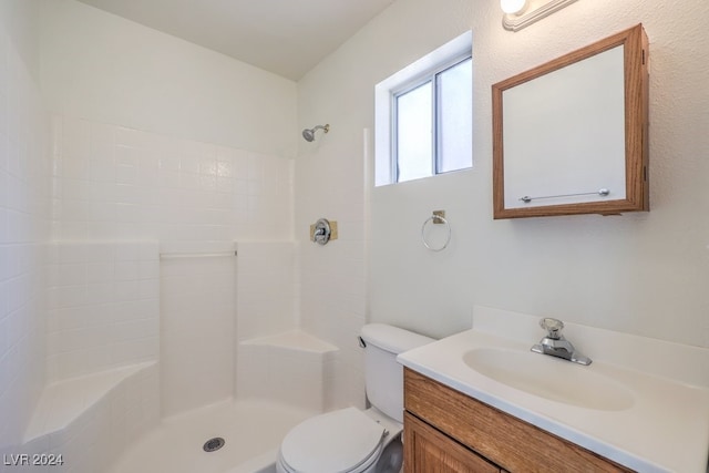 bathroom with a shower, vanity, and toilet